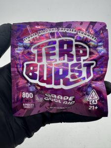 terp burst gummies 800mg terp burst edibles terp burst gummies terp burst edibles 800mg terp burst burst gummies terp burst gummies 800mg review