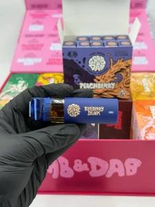 grab and dab dual 2g disposable