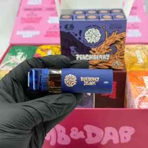 grab and dab dual 2g disposable