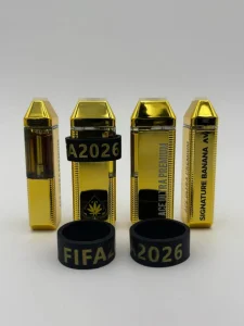 ace world cup 2g disposable